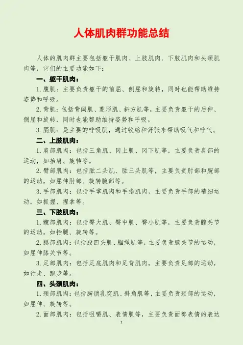 人体肌肉群功能总结