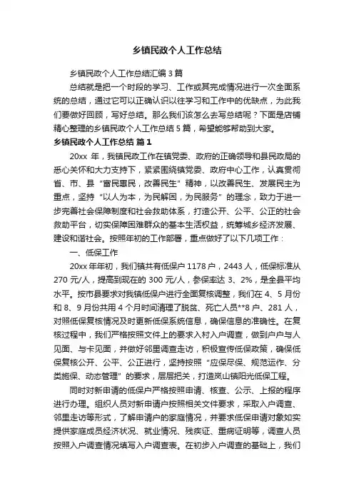 乡镇民政个人工作总结