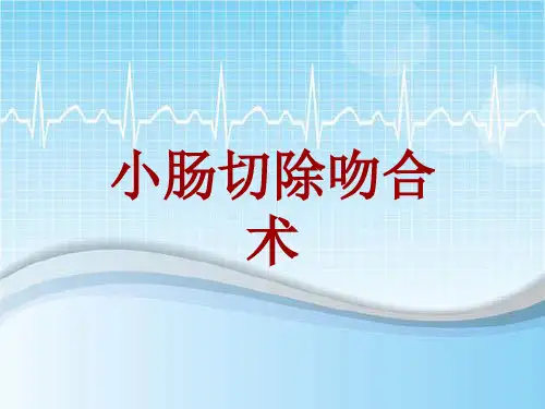手术讲解模板：小肠切除吻合术