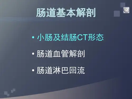 肠道疾病CT诊断PPT课件