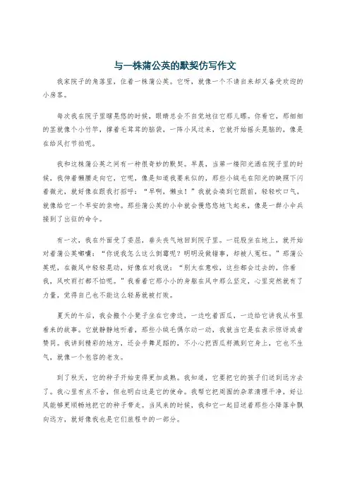 与一株蒲公英的默契仿写作文
