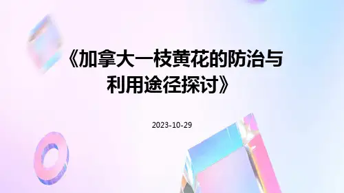 加拿大一枝黄花的防治与利用途径探讨