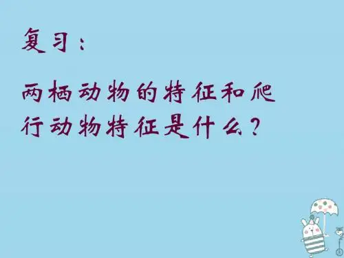 八年级生物上册5.1.6鸟课件(共21张PPT)