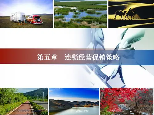 连锁经营促销策略.pptx