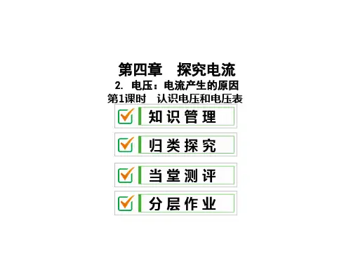 4.2.1 认识电压和电压表—2020教科版九年级物理全册习题课件(共30张PPT)