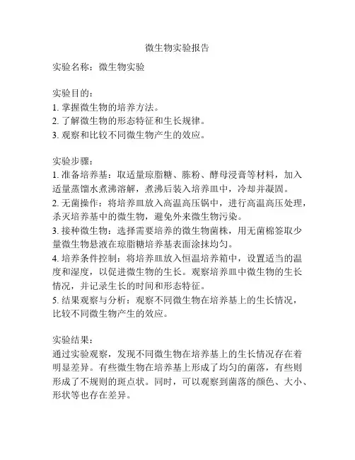 微生物实验报告