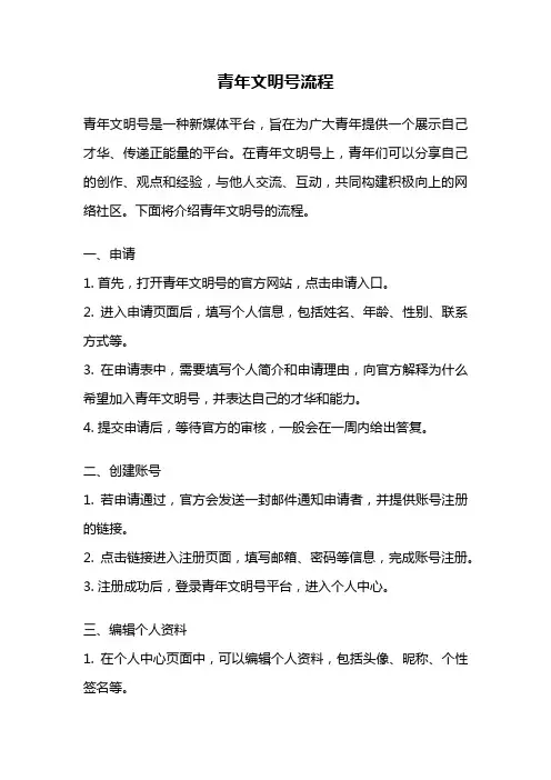 青年文明号流程