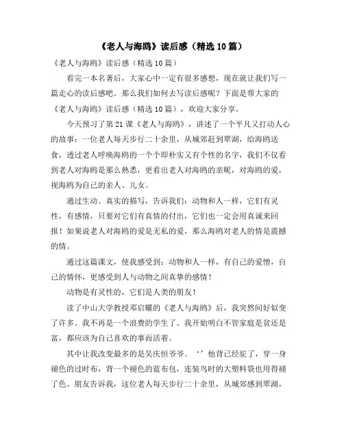 《老人与海鸥》读后感(精选10篇)