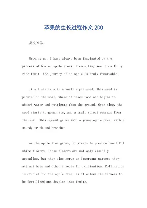 苹果的生长过程作文200