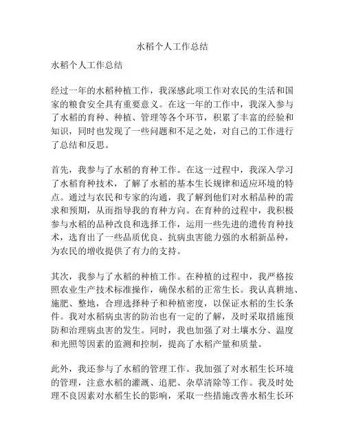 水稻个人工作总结