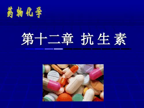 药物化学12-113页PPT精选文档