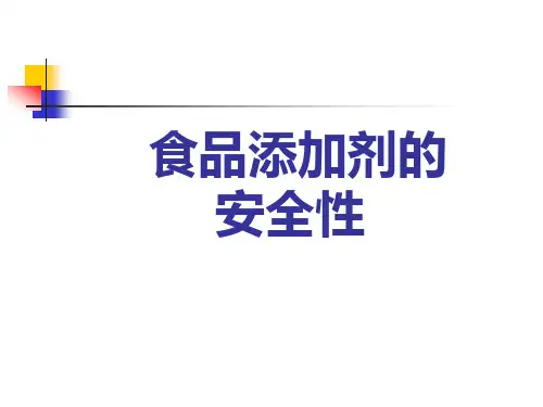 食品添加剂安全性PPT课件