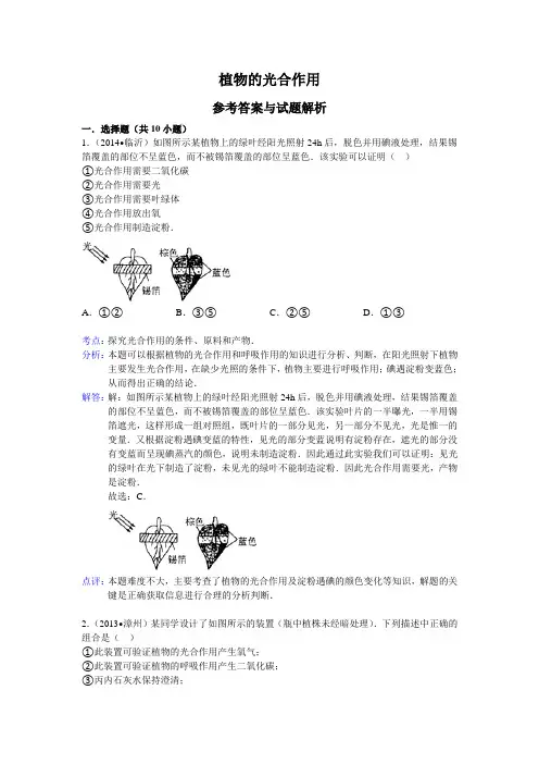 植物的光合作用精选题及答案