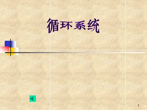 循环系统 PP课件