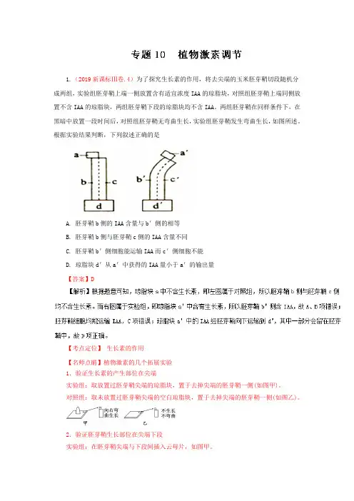 三年高考：生物真题分项版解析——专题10 植物激素调节