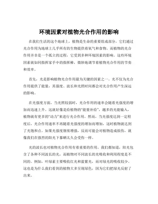 环境因素对植物光合作用的影响