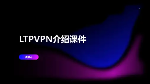 LTPVPN介绍课件