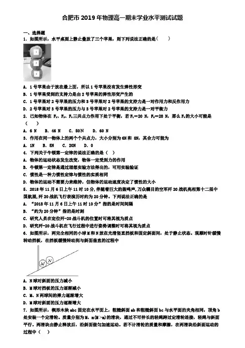 合肥市2019年物理高一期末学业水平测试试题