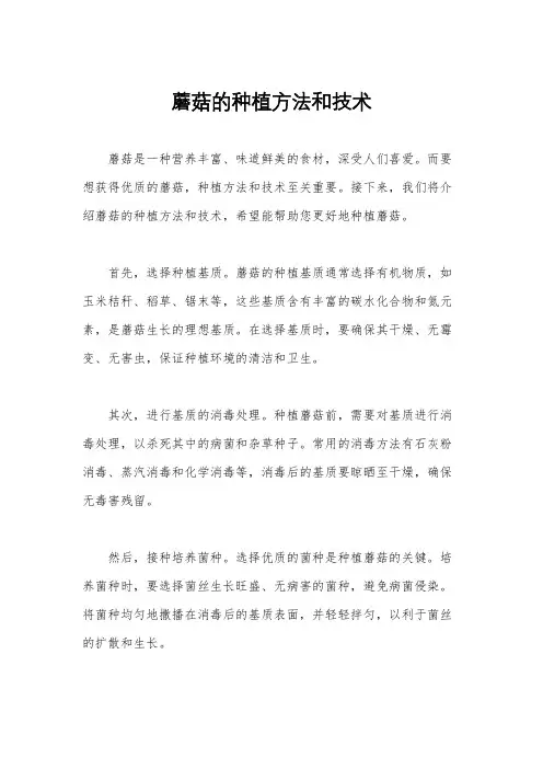 蘑菇的种植方法和技术