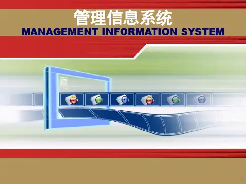 管理信息系统与组织管理创新ppt课件