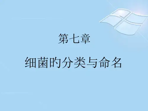 20_细菌的分类和命名