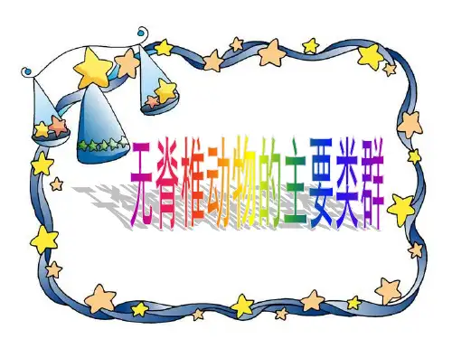 无脊椎动物的主要类群
