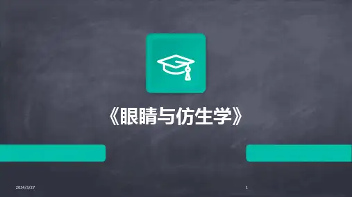 《眼睛与仿生学》-2024鲜版