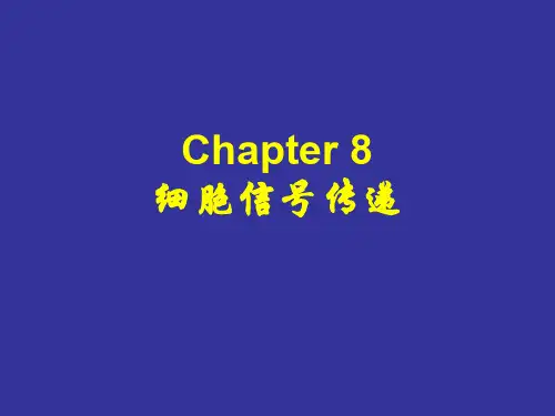 第八章 信号传递