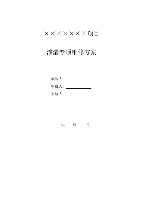 14、渗漏专项维修方案