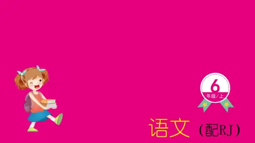 19 青山不老习题课件(25张PPT)