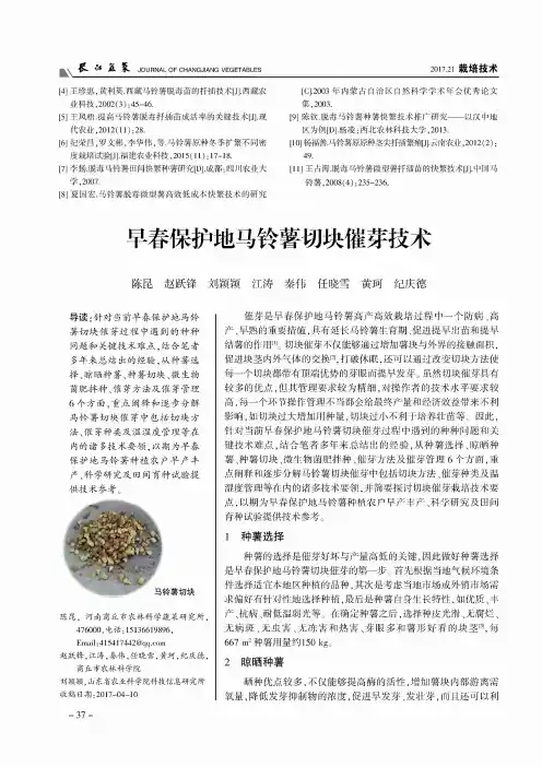 早春保护地马铃薯切块催芽技术
