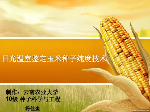 种子检验PPT