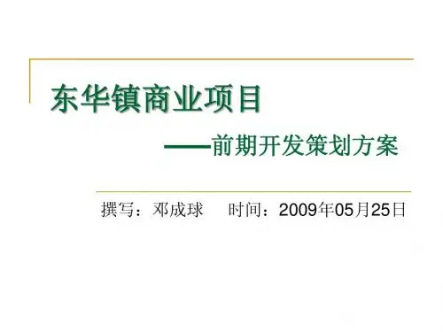 东华镇商业项目前期策划方案