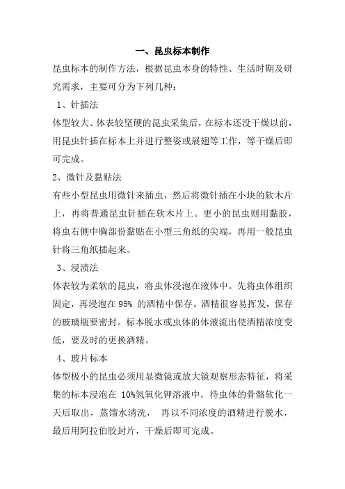 昆虫标本的制作方法