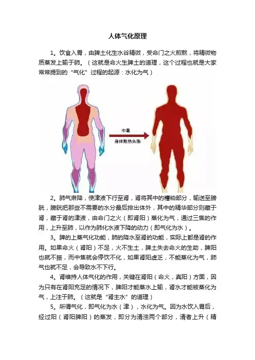 人体气化原理
