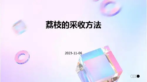 荔枝的采收方法