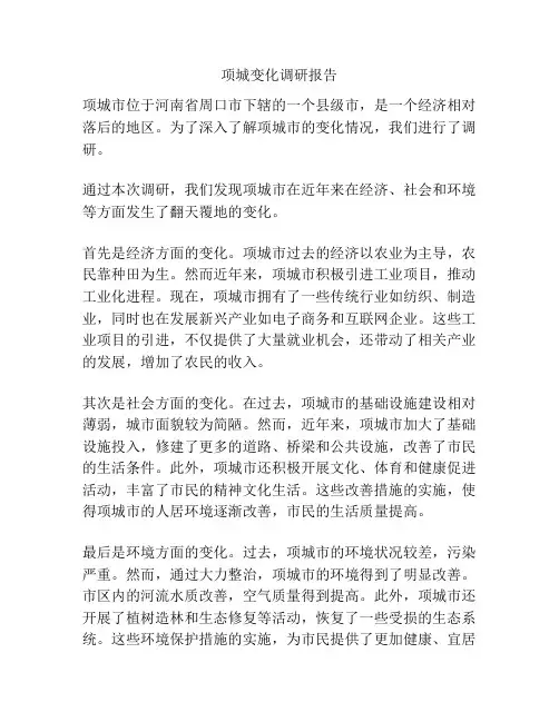 项城变化调研报告