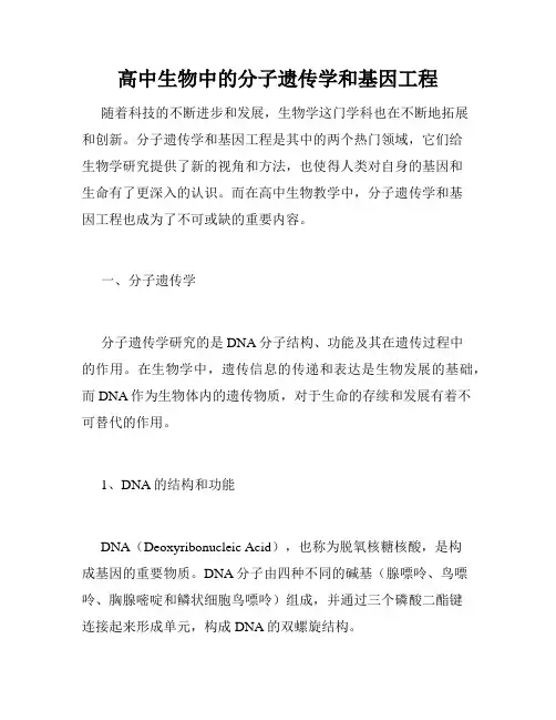 高中生物中的分子遗传学和基因工程