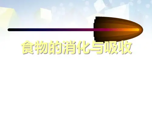 《食物的消化与吸收》 图文