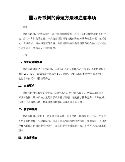 墨西哥铁树的养殖方法和注意事项