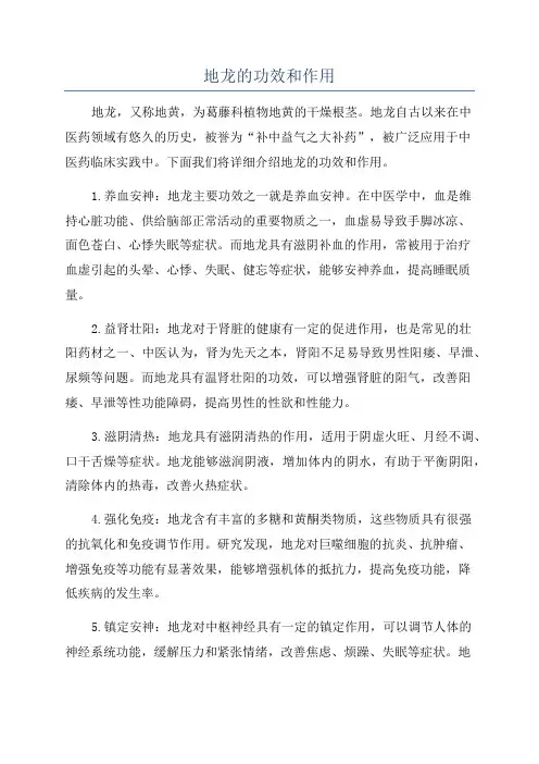 地龙的功效和作用