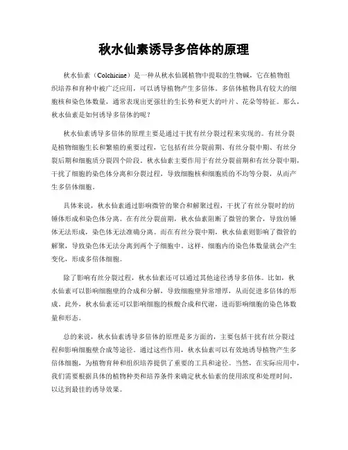 秋水仙素诱导多倍体的原理