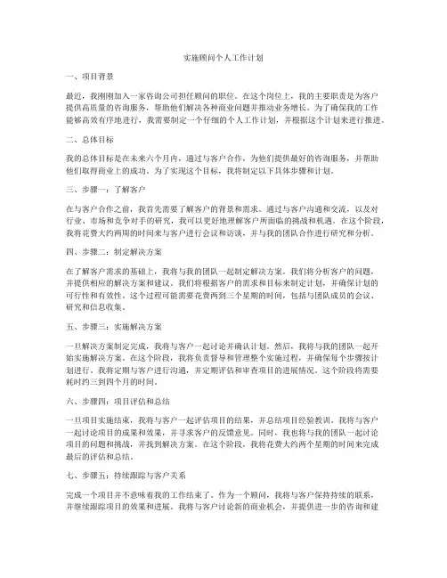实施顾问个人工作计划