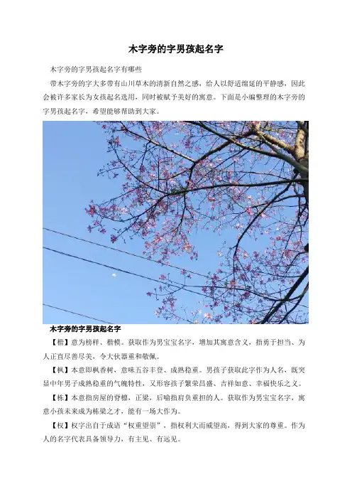 木字旁的字男孩起名字