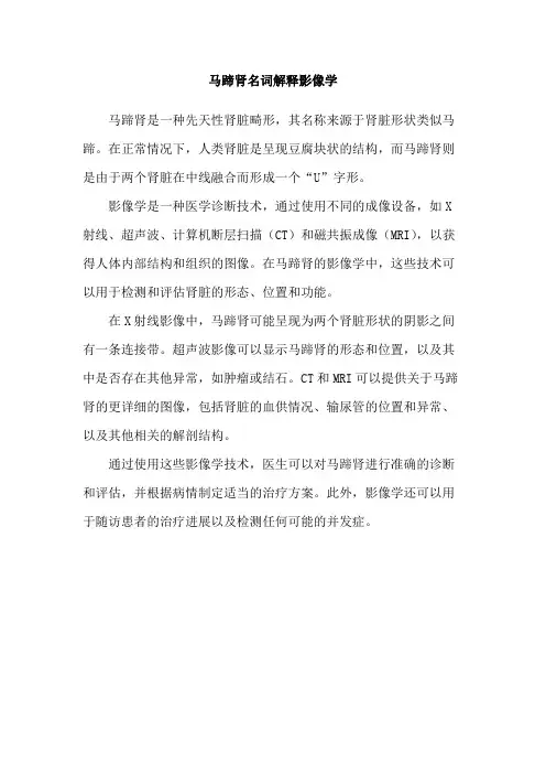 马蹄肾名词解释影像学