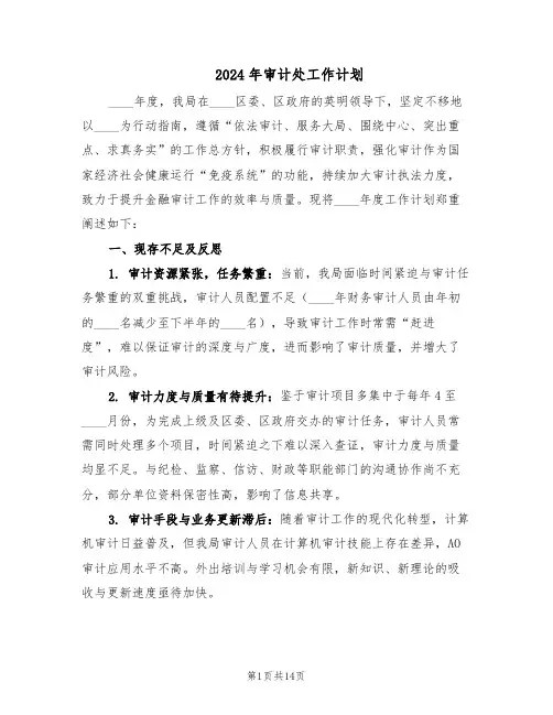 2024年审计处工作计划(七篇)