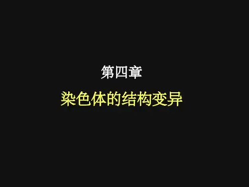 《染色体的结构变异》PPT课件