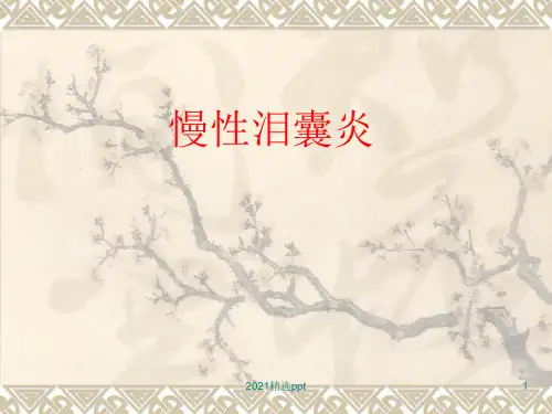 慢性泪囊炎ppt课件