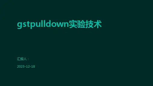 gstpulldown实验技术
