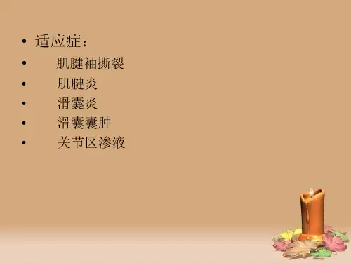 肩部疾病超声诊断_PPT幻灯片